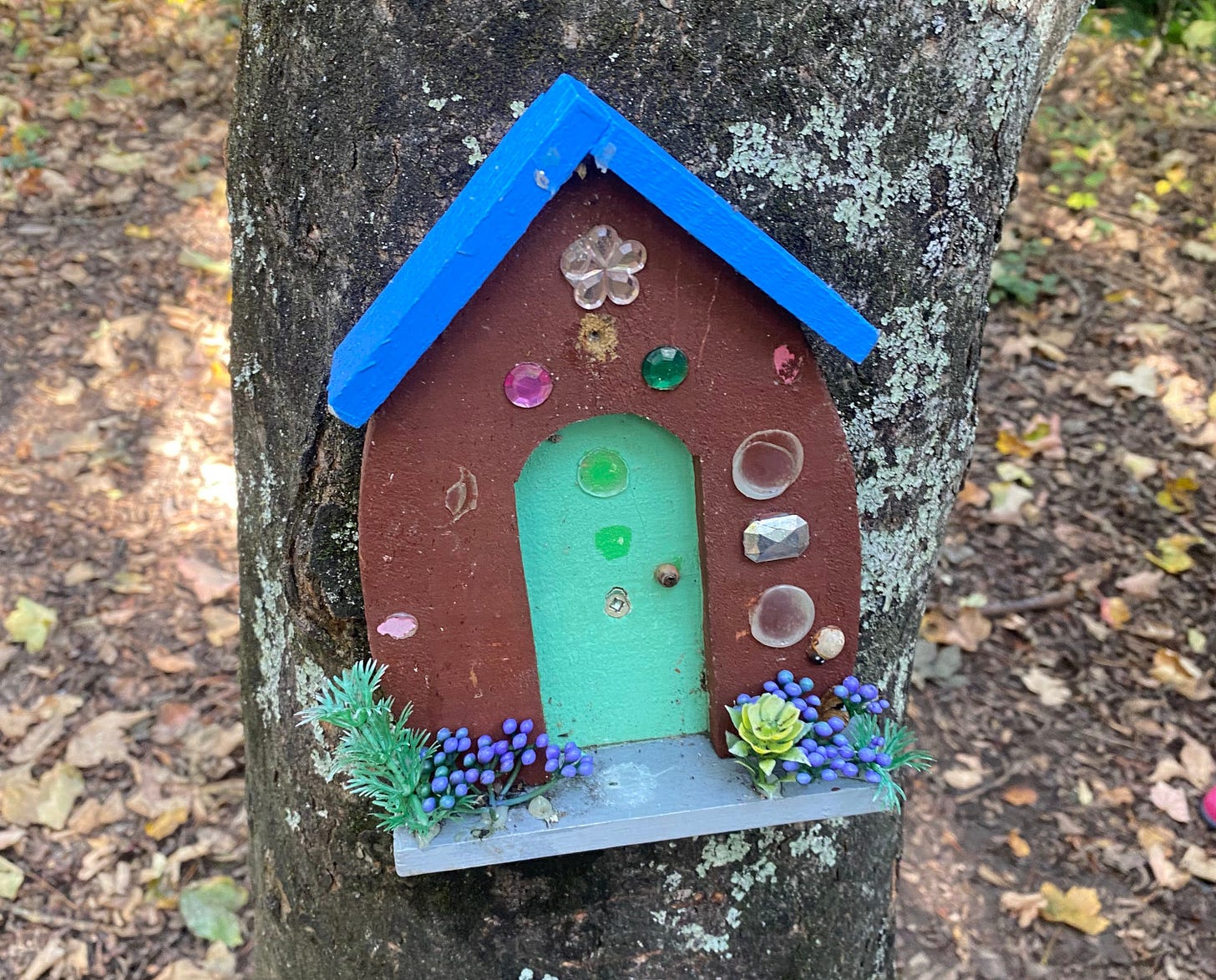 A photograph of a wooden fairy house with a blue roof and brown walls, nailed to a tree in a forest.