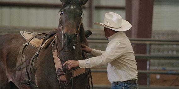 Duke man trying to calm horse on Walker 217.