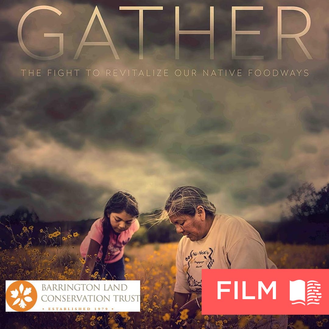 Gather film poster, showing a young girl and an older woman, both Native American, in a field of golden flowers. At the bottom are the Barrington Land Conservation Trust and Film logos