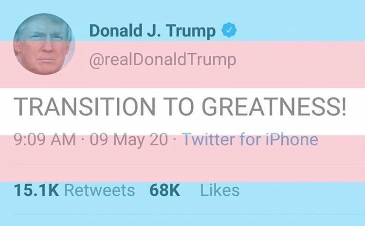 A reminder from Trans Comrade Trump to Transition to greatness today :  r/LateStageGenderBinary