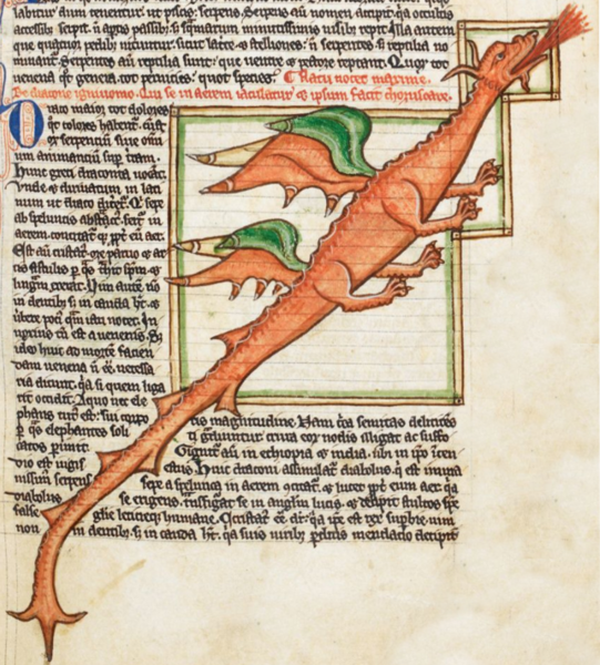 A close-up of a dragon

Description automatically generated