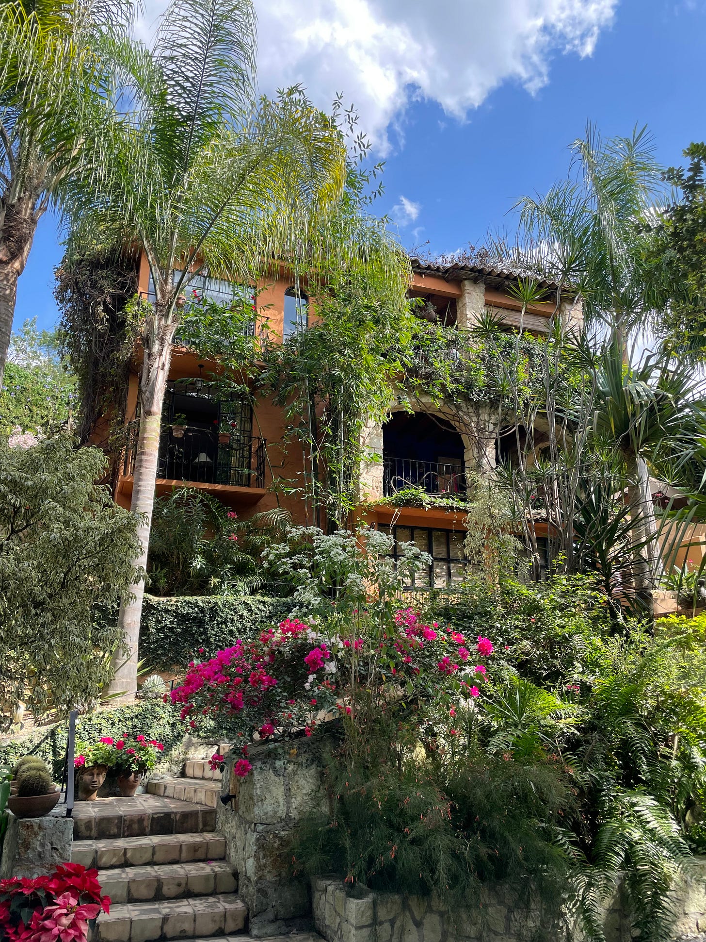 A photo of our house flanked by palm trees taken from a low angle.