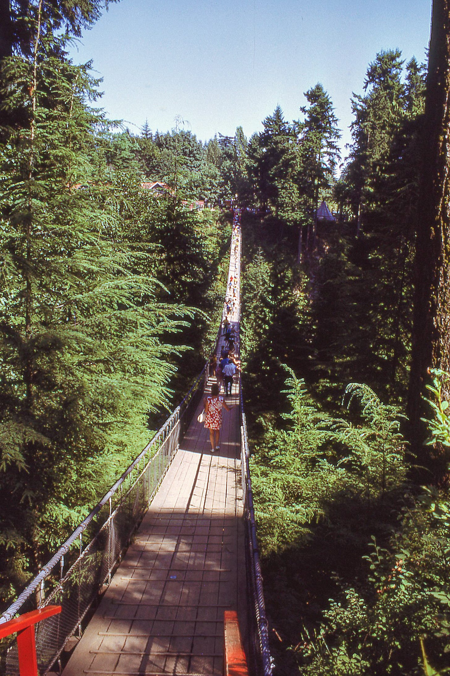 Suspension bridge