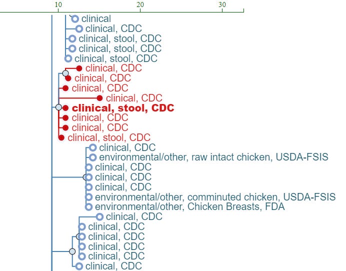 A phylogenetic tree with 8 isolates highlighted in red