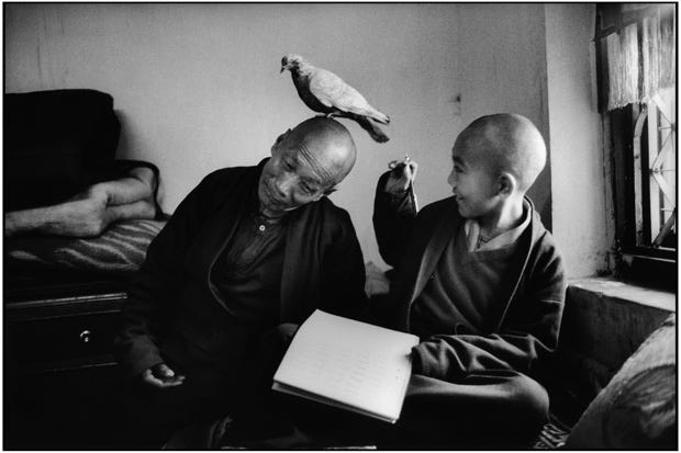 Buddhist Monks. Martine Franck, Bouddha, Nepal, 1996