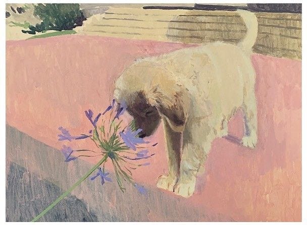 This may contain: a painting of a dog smelling a flower