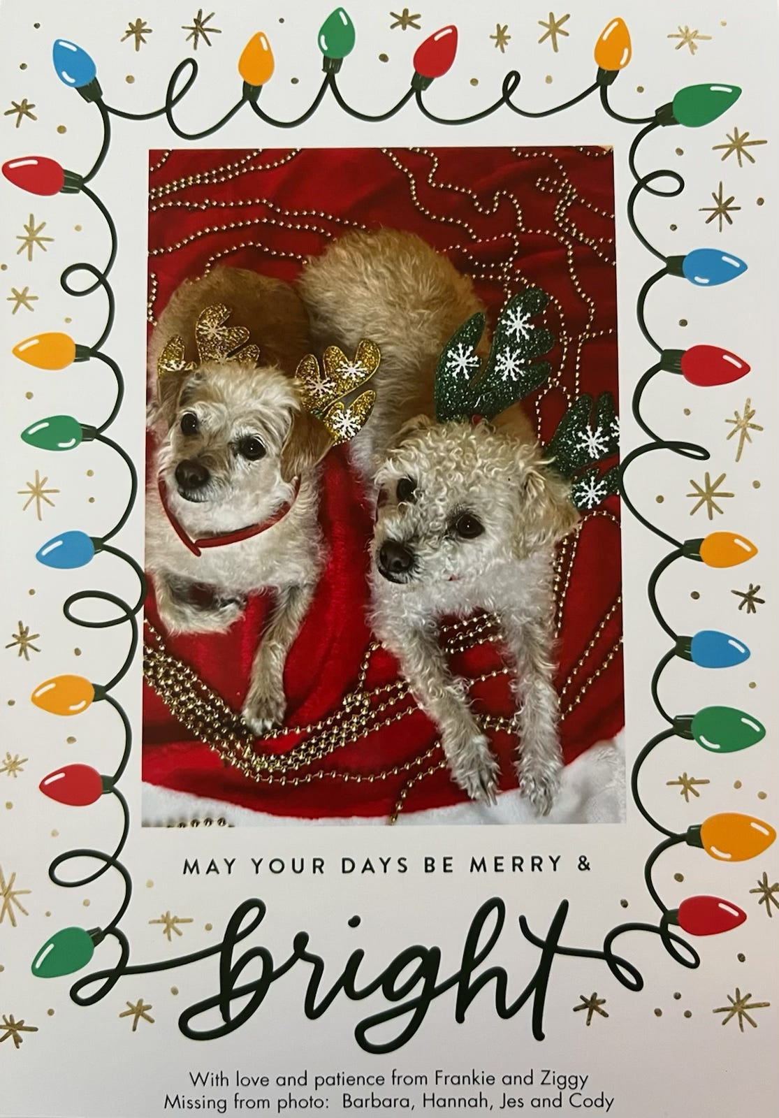 Holiday greeting card with 2 small dogs wearing Reindeer antlers, sitting on a red rug. 