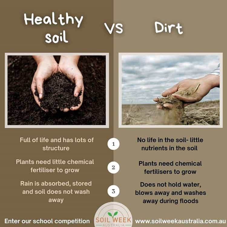 healthy soil vs dirt