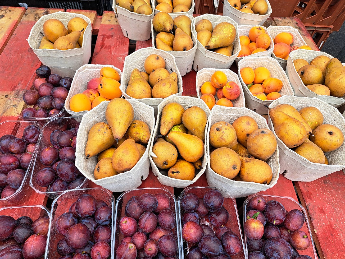 plums, apricots and pears, Perry Court Farm, Notting Hill farmers market