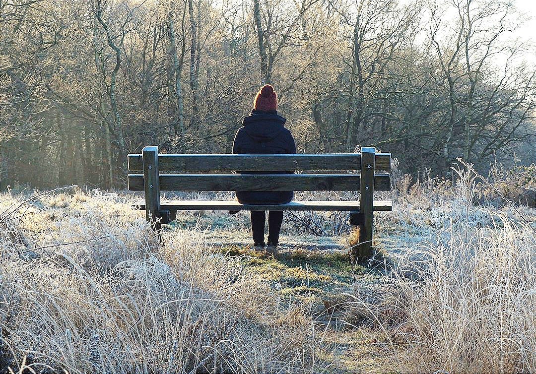 A person sitting on a bench in a field