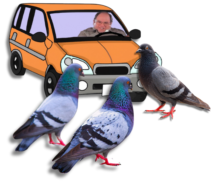 An angry George Costanza driving a cartoon car toward three giant pigeons