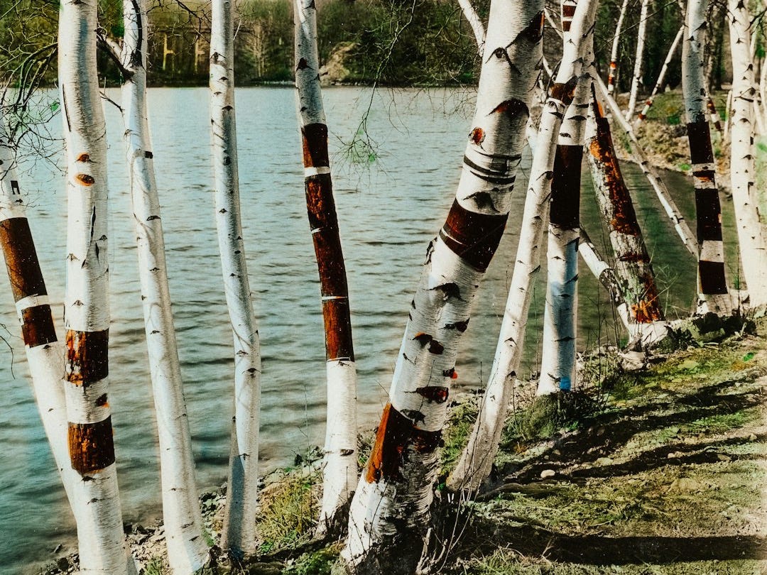 white and black fishing rod near body of water during daytime white and black fishing rod near body of water during daytime