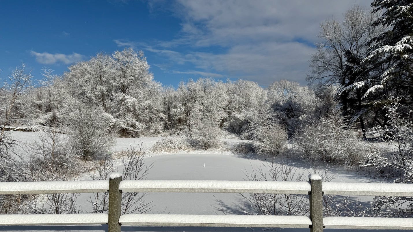 A snowy landscape with trees and a pond

AI-generated content may be incorrect.