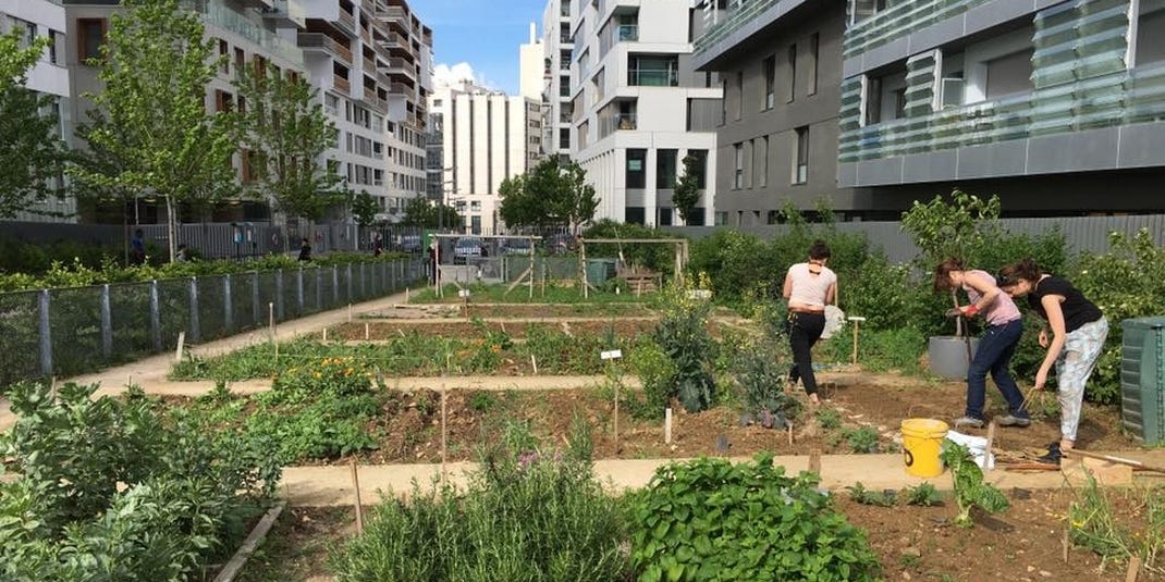 L'agriculture urbaine, c'est quoi ? – Association Française d'Agriculture  Urbaine