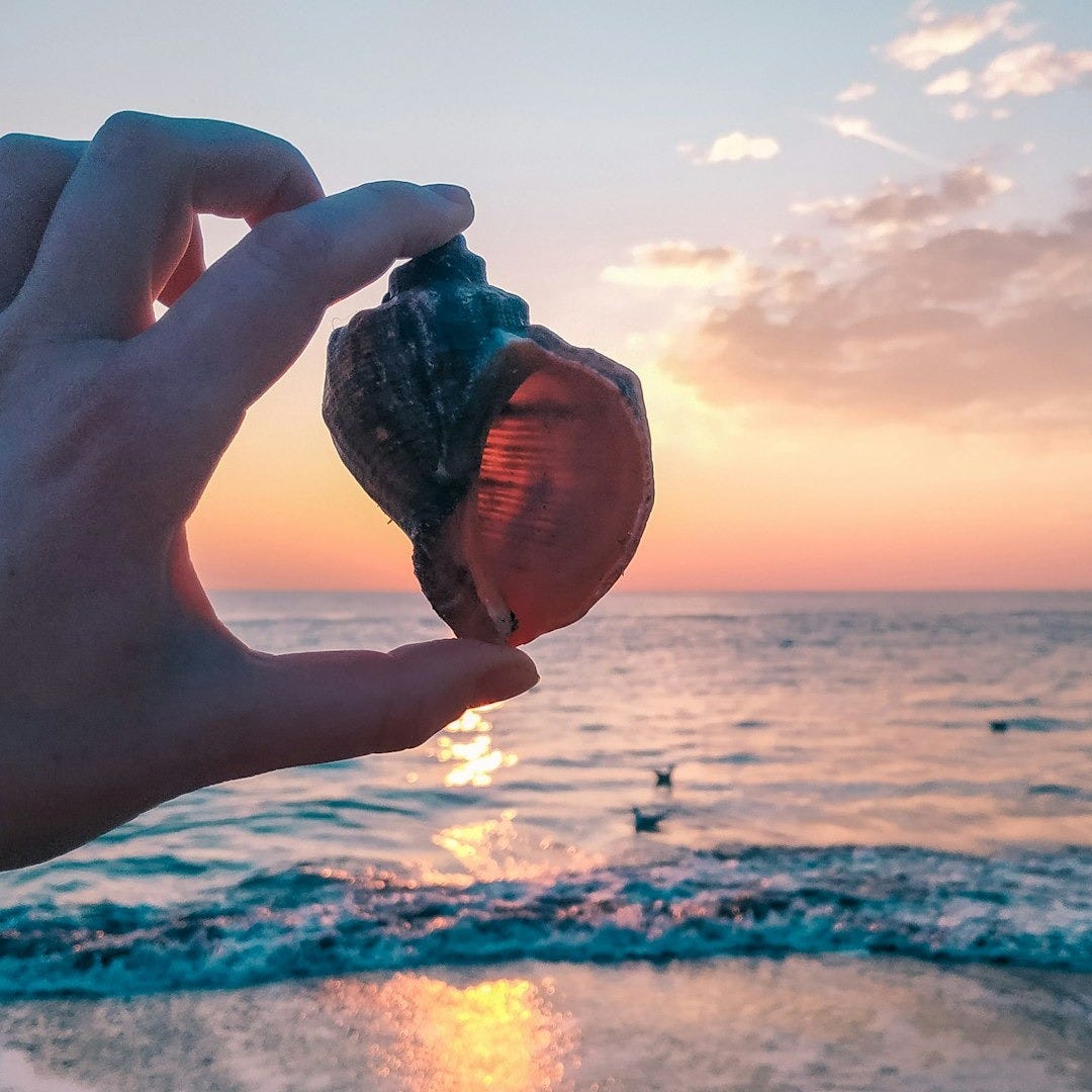 a person holding a piece of food in their hand a person holding a piece of food in their hand
