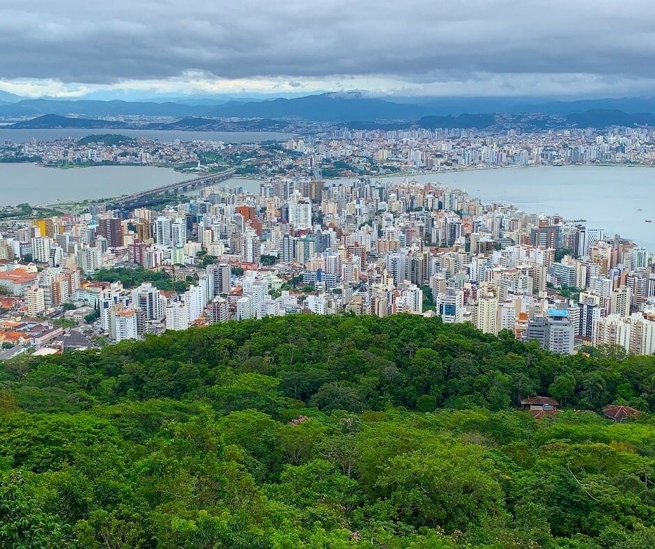 Despite their steel and concrete, bridges and roads, cities and towns are living ecosystems hosting a surprising amount of biodiversity Despite their steel and concrete, bridges and roads, cities and towns are living ecosystems hosting a surprising amount of biodiversity