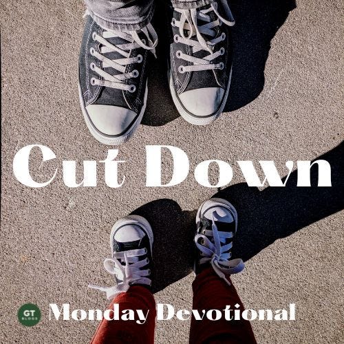 Cut Down, Monday Devotional by Gary Thomas