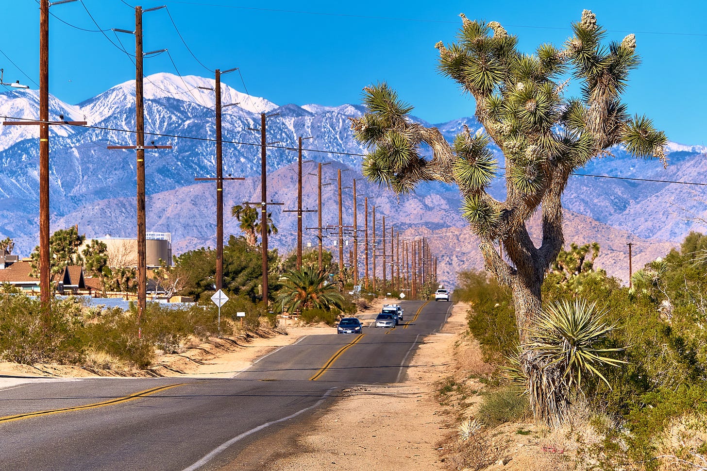 Landscape photo of a road in California with desert, mountains, and utility poles visible