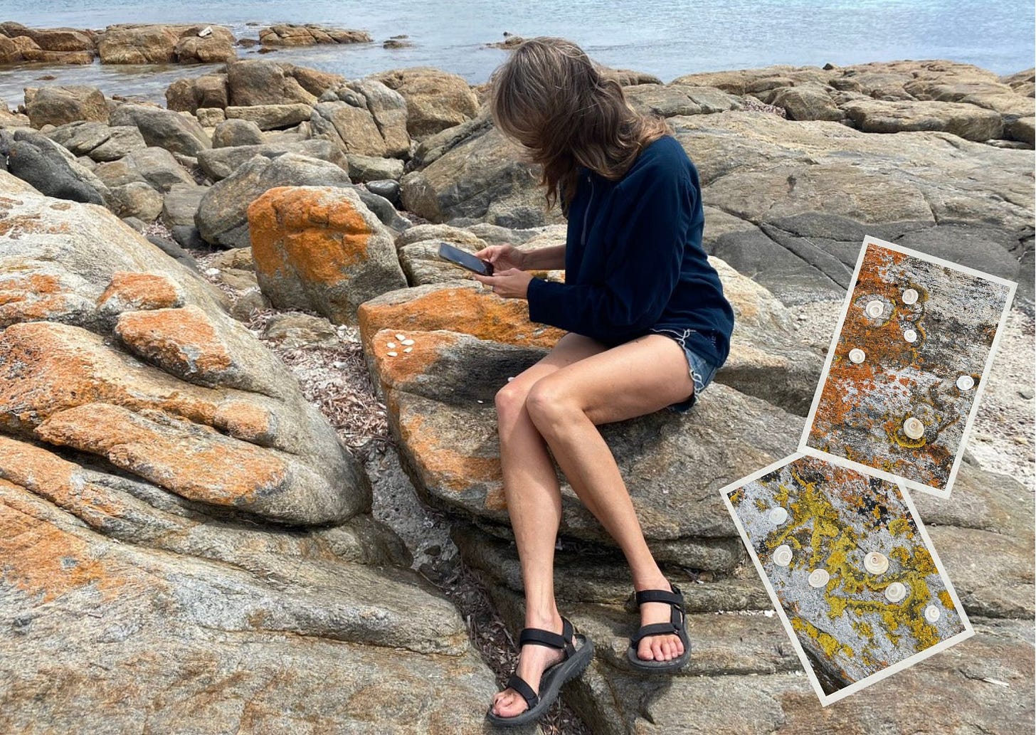 photographing seashells on the rocks