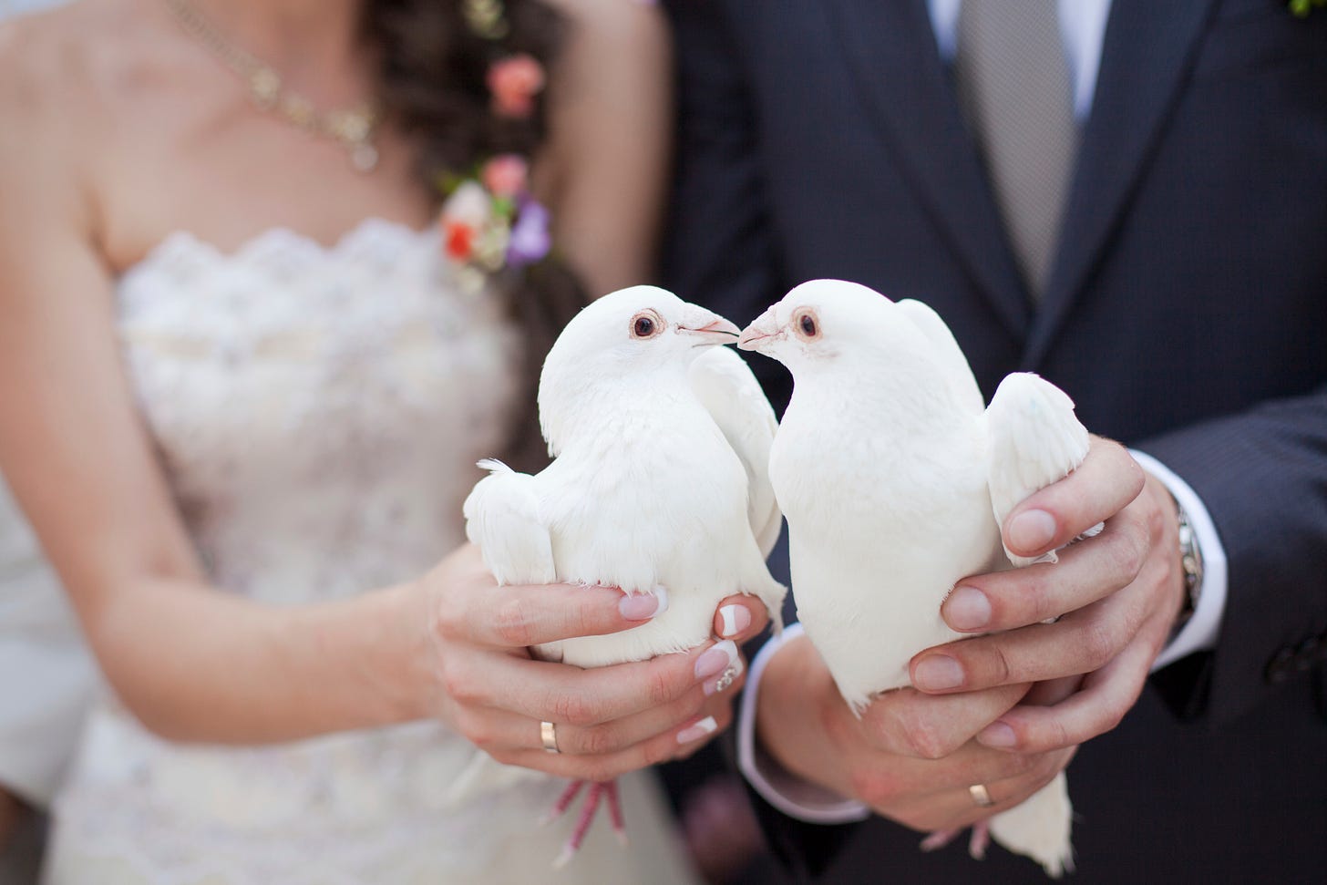 All you need to know about a wedding dove release | Easy Weddings