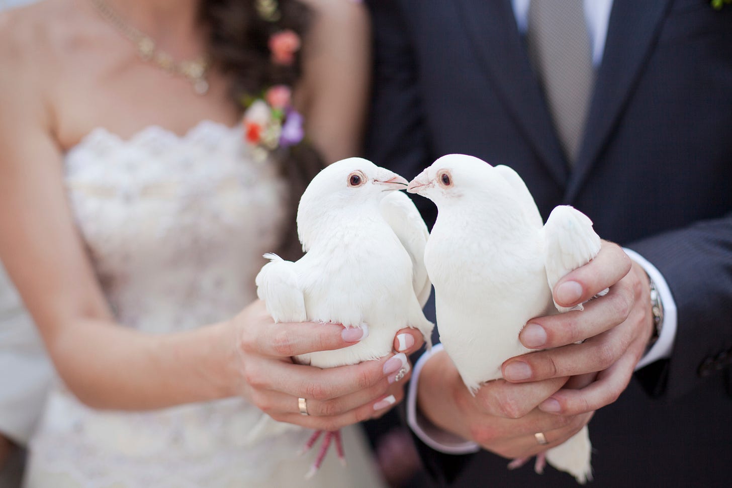 All you need to know about a wedding dove release | Easy Weddings