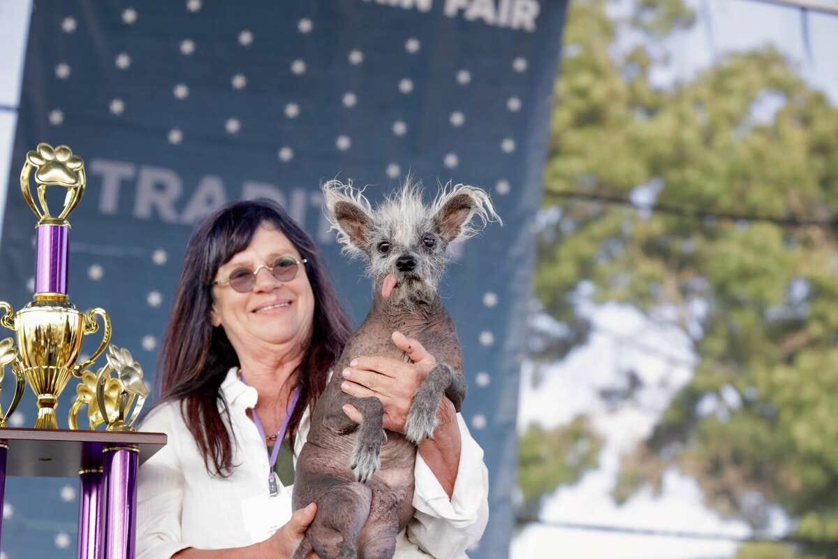 The Ugliest Dog in the World competition crowned a new king during the 2023 competition on Friday, June 23,  at the Sonoma-Marin Fair in Petaluma, California. 