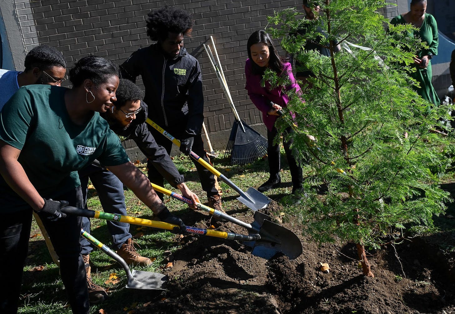 Michelle and PowerCorps Boston members use shovels to fill in the dirt around the Dawn Redwood sapling in front of a gray brick building