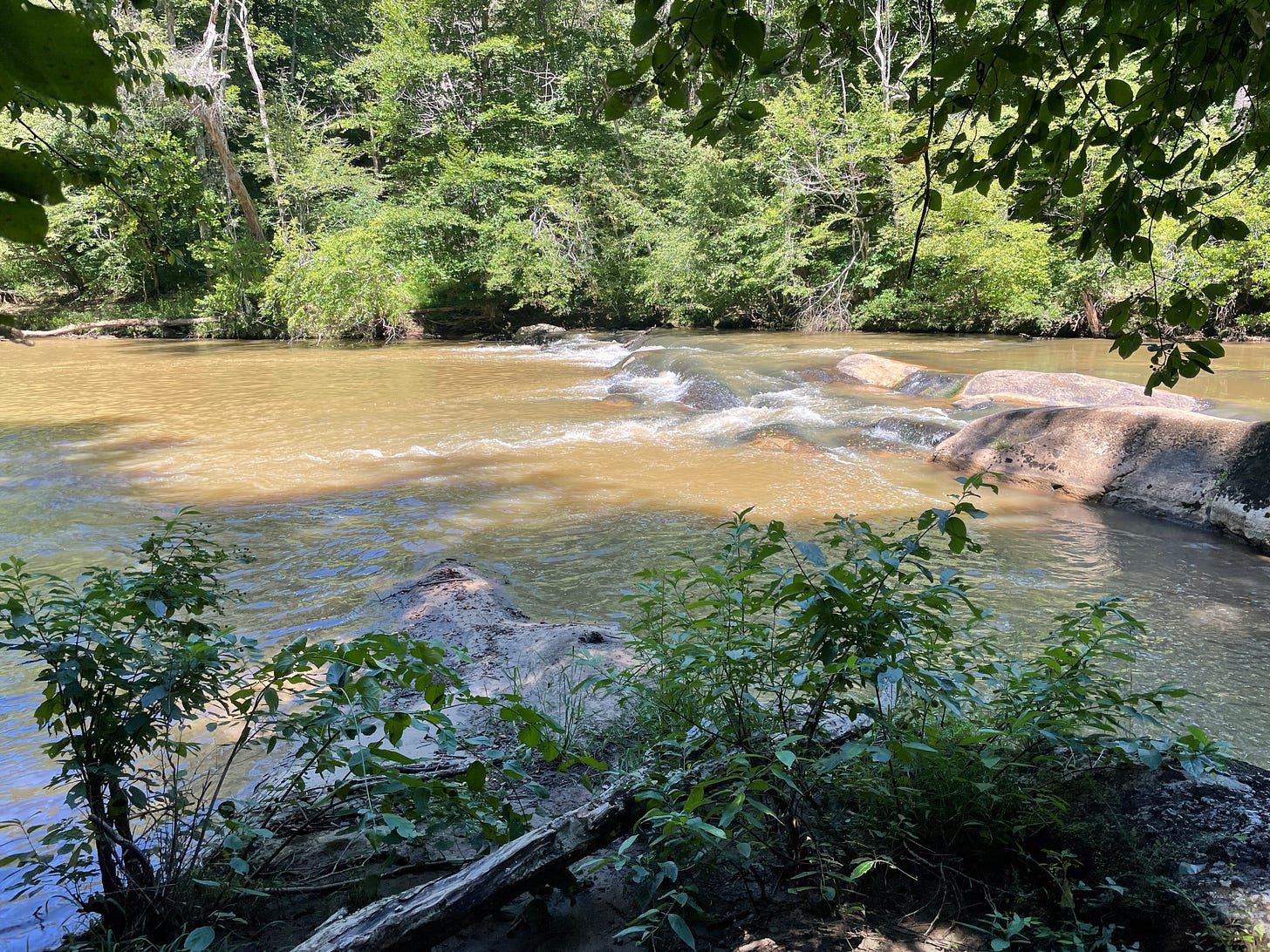 rocks in river