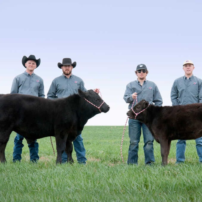 West Texas A&M beef cloning enters next phase West Texas A&M beef cloning enters next phase