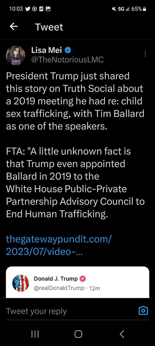 May be an image of text that says '10:03 65% Tweet Lisa Mei @TheNotoriousLMC President Trump just shared this story on Truth Social about a 2019 meeting he had re: child sex trafficking, with Tim Ballard as one of the speakers. FTA: "A little unknown fact is that Trump even appointed Ballard in 2019 to the White House Public-Private Partnership Advisory Council to End Human Trafficking. thegatewaypundit.com/ 2023/07/video-... DonaldJ. Trump @realDonaldTrump 12m'
