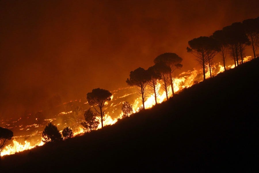 A night view of a wildfire burning on a hillside