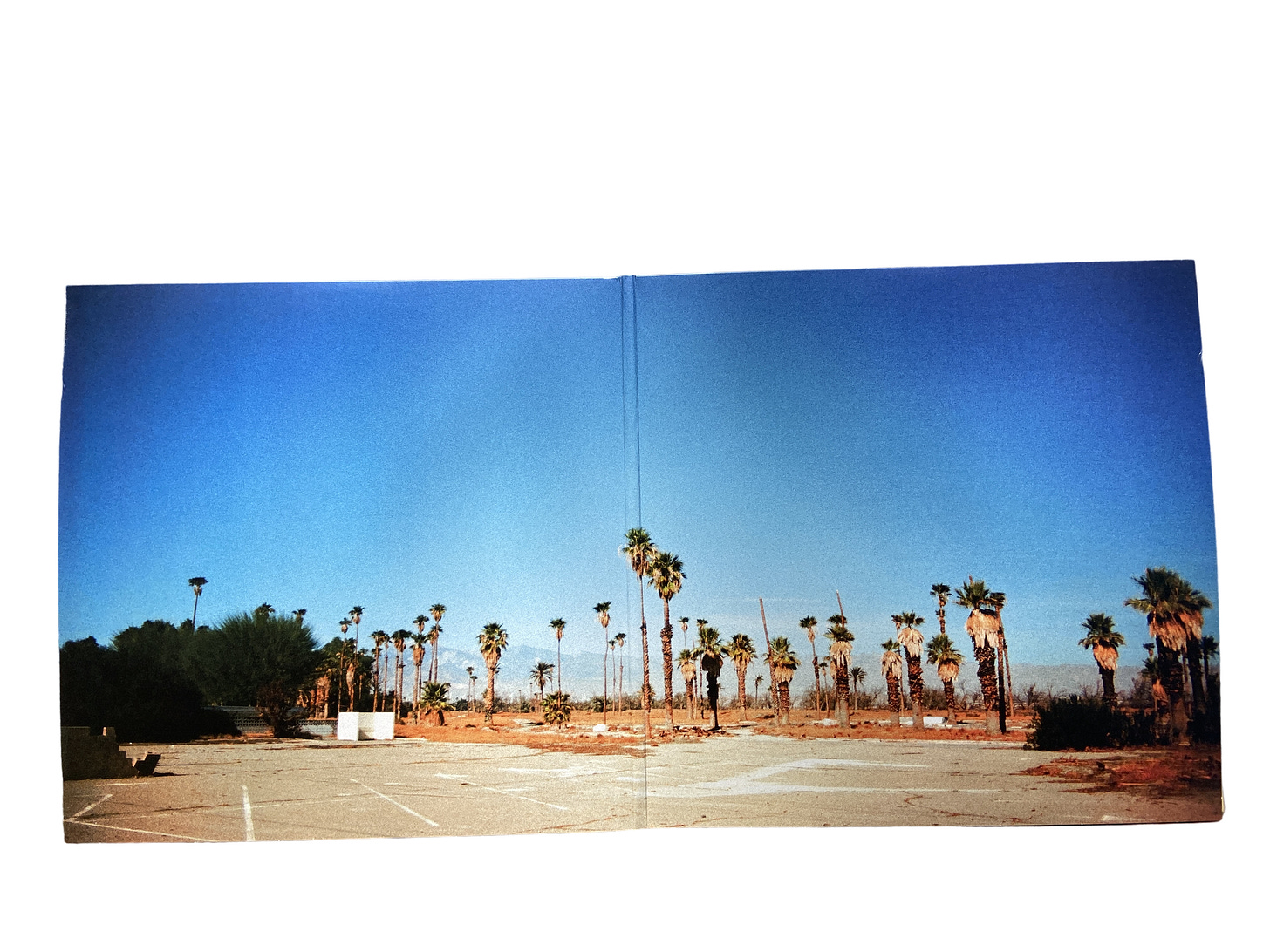 the gatefold cover for UMO's V, featuring a panoramic view of palm trees.