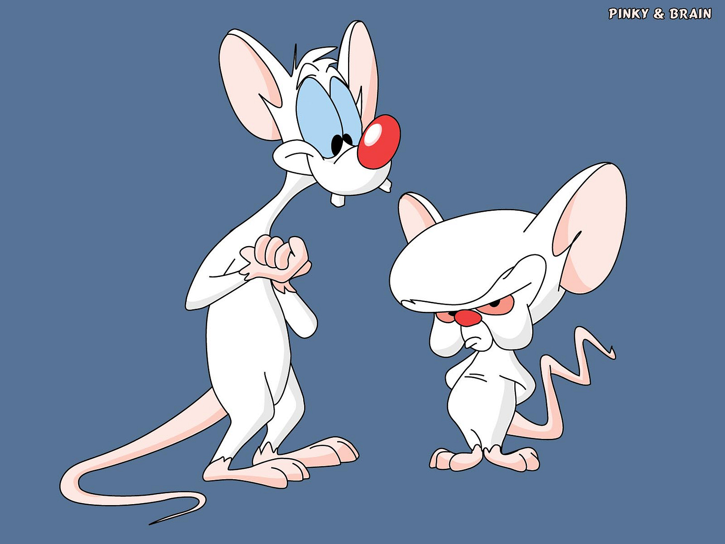 Pinky and the Brain | Ultima Wiki | Fandom Pinky and the Brain | Ultima Wiki | Fandom