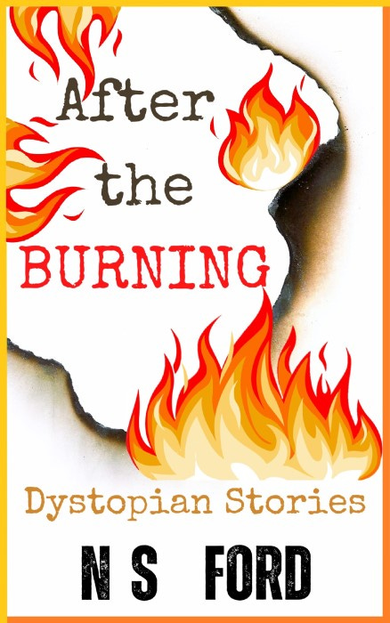 Book cover of After the Burning by N S Ford