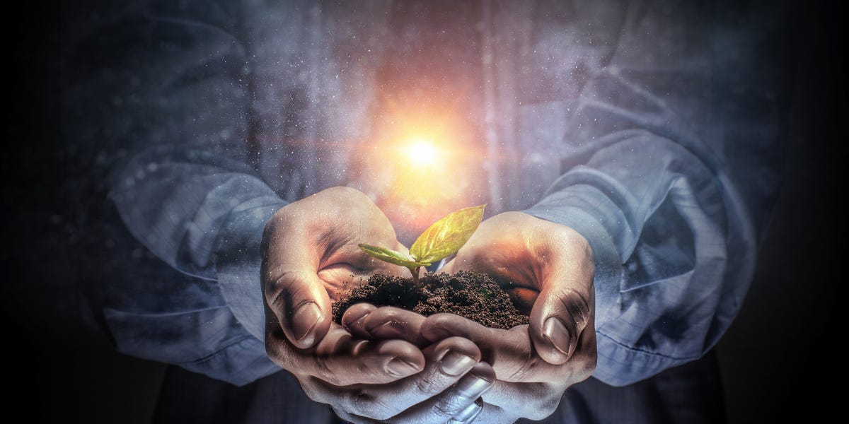 The image shows a sapling coming out in a pair of hands. A strong light glows in the background. This symbolises birth of a new life. The image is part of the article titled “Birth Time Rectification - Are you sure your birth time is correct?” authored by Anish Prasad and published at https://rationalastro.org