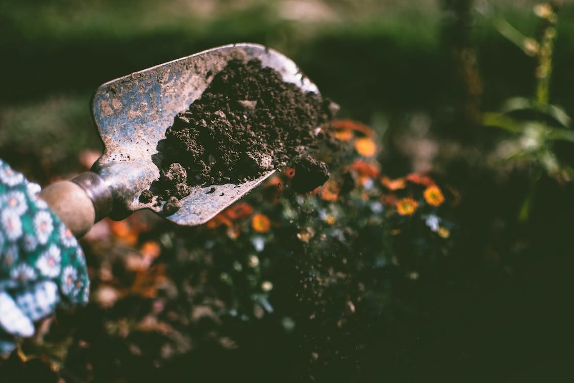 Free Person Digging on Soil Using Garden Shovel Stock Photo