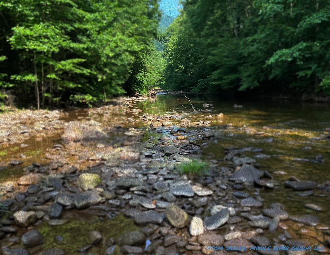 rocky shallows of a mountain stream