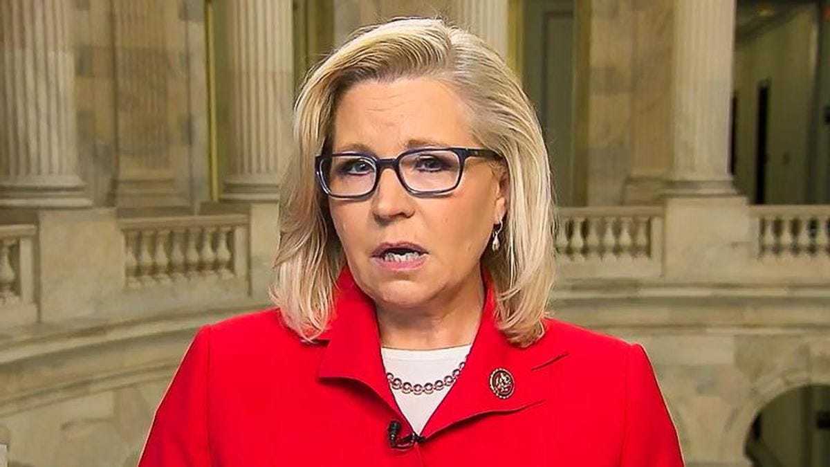 'We're electing idiots': Liz Cheney pinpoints the biggest problem in American politics