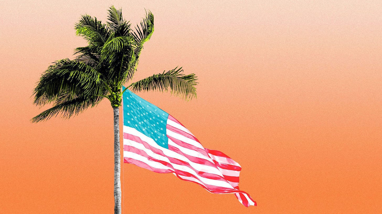 Illustration of an American flag flying from a palm tree.