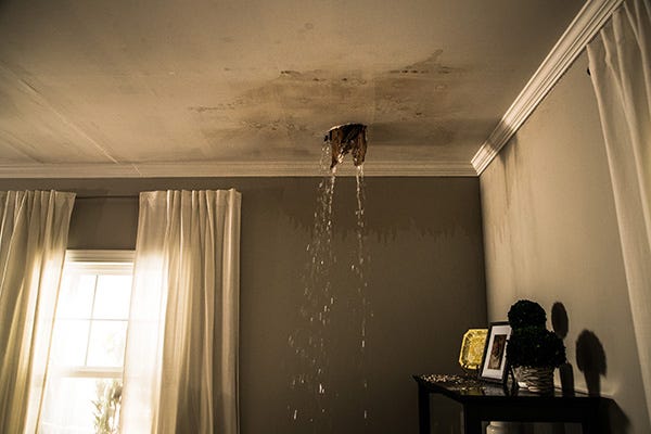 Roof Leak & Mold Growth in Atlanta GA | ServiceMaster