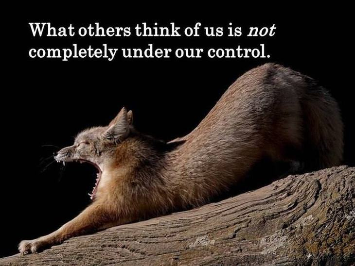 Photos of Animals with Quotes and Advice