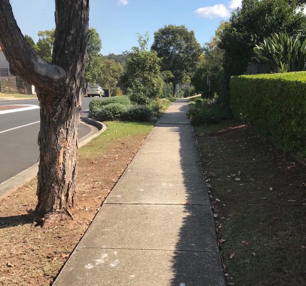 photo showing barren verge leading up to verge garden