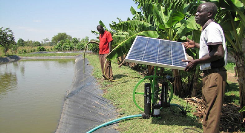 Kenyan farmers use SunCulture solar power to help water dry land