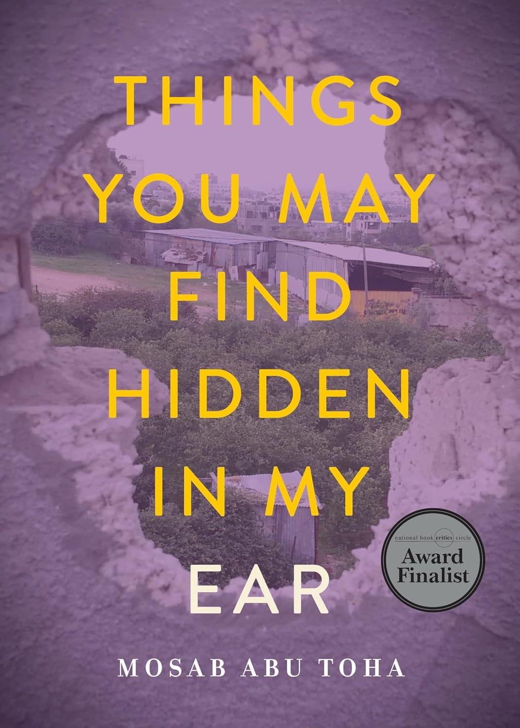 Things You May Find Hidden In My Ear by Mosab Abu Toh