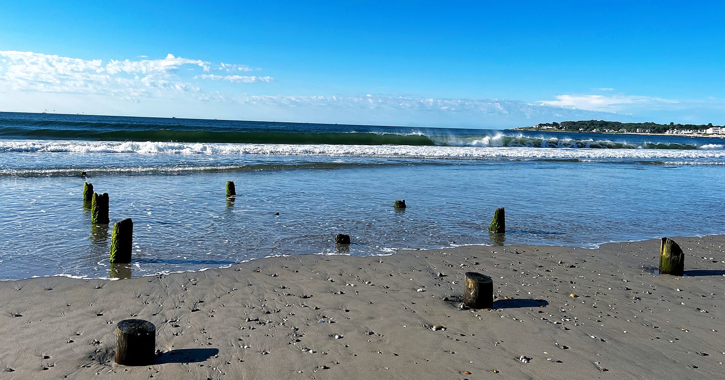 3 rows of parallel wooden stumps march out to sea