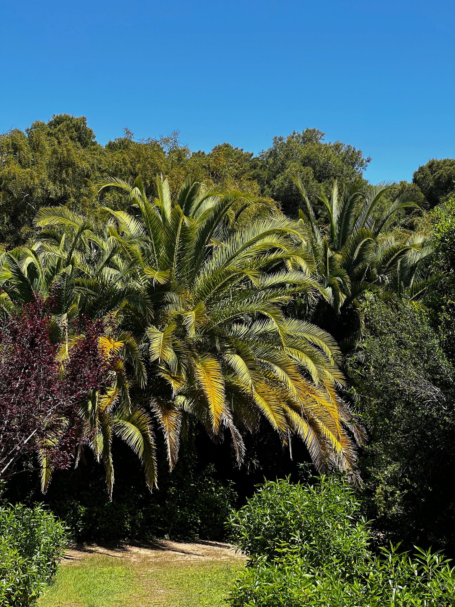  Jardins de Terramar, Sitges, Spain