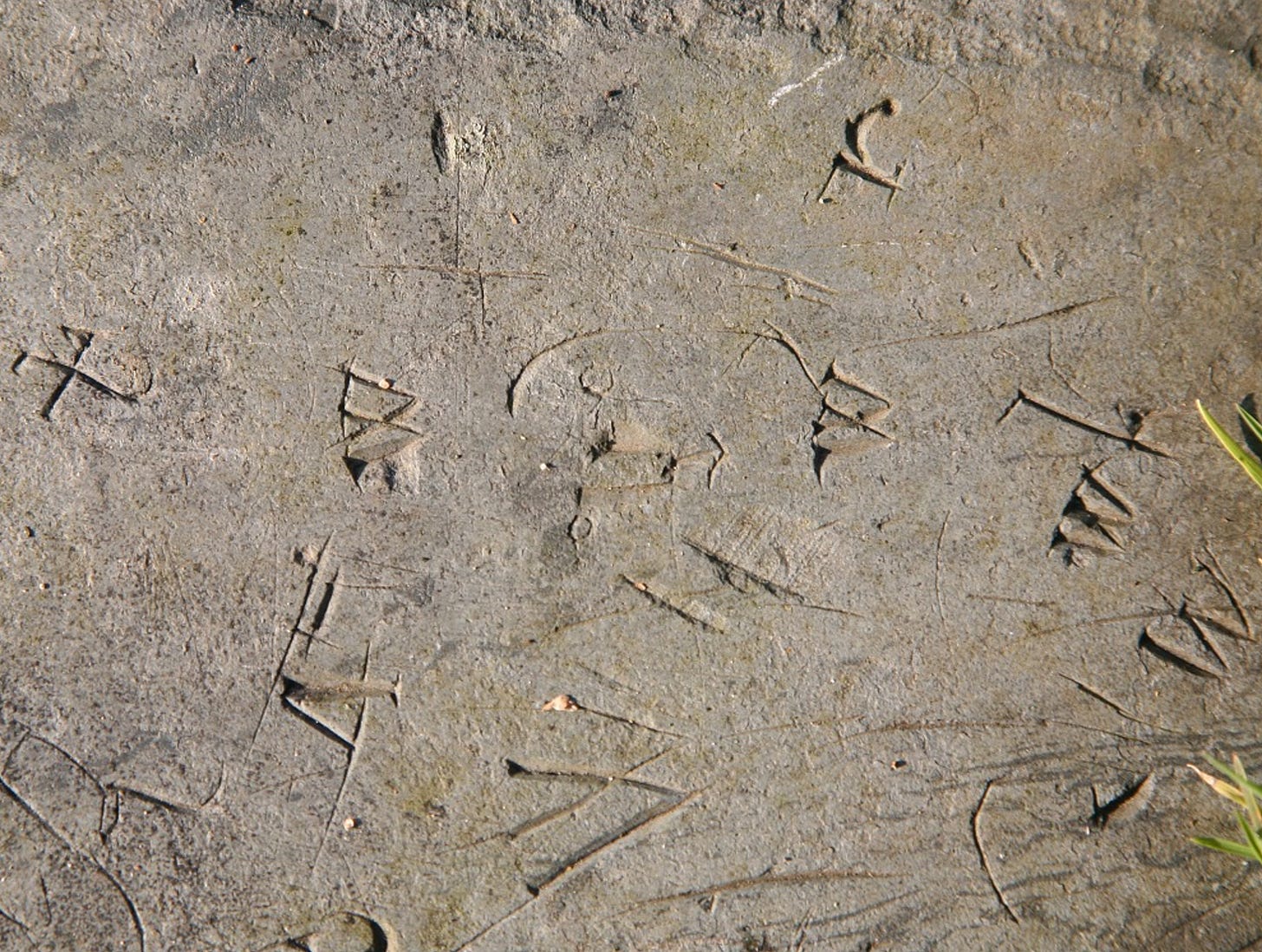 A piece of stone with rough, poorly formed letters scattered upon it. We can see a number of w’s, an r, t, and several unfinished strokes.