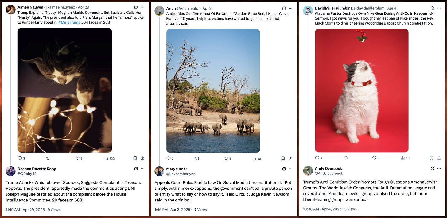 examples of accounts in the network replying to other accounts in the network