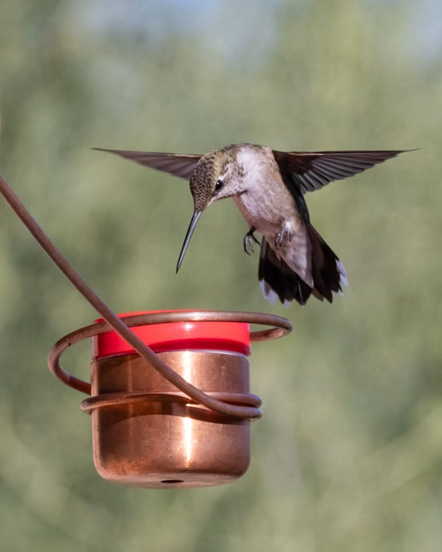 20240908-mby-193-Edit.jpg
