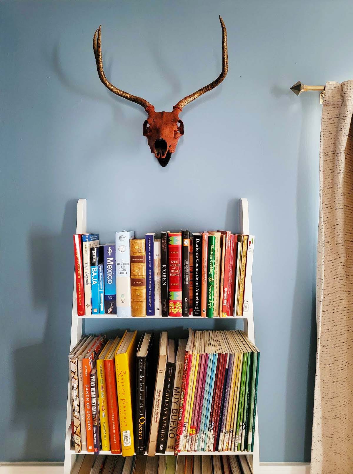 A bookcase with a painted deer skull over it. 